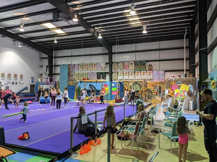 Riptide Gymnastics & Cheer Picture 7