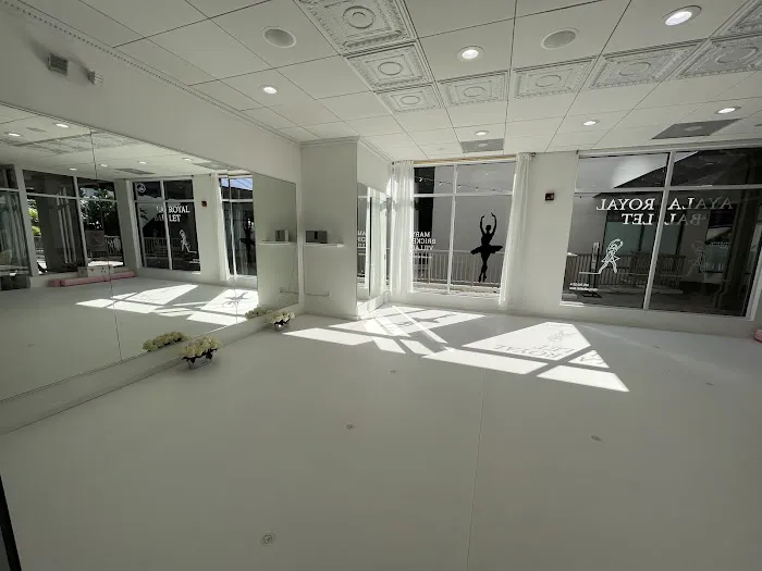 Ayala Royal Ballet - Brickell Picture 6