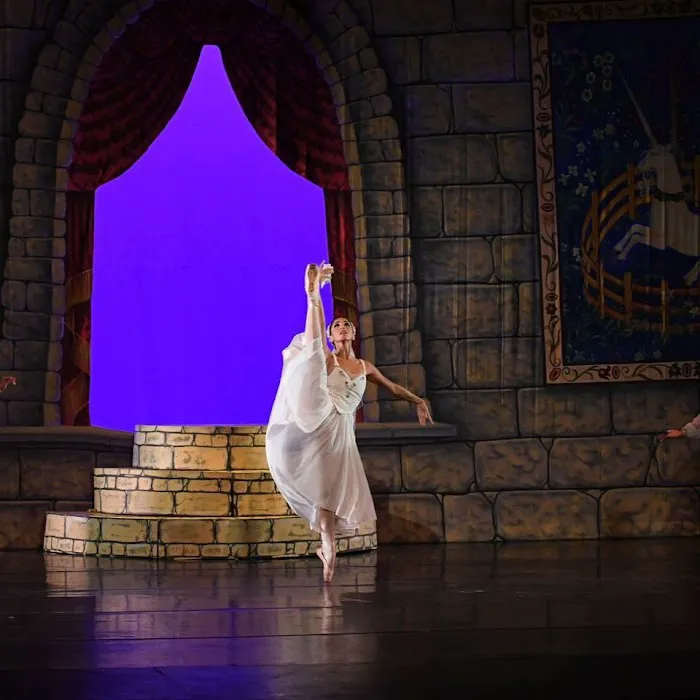 Ayala Royal Ballet - Brickell Picture 9