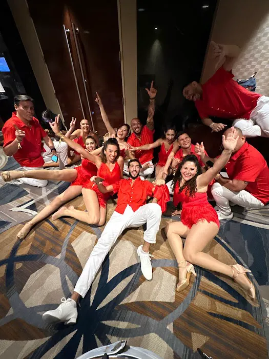 Timba Casino Miami Picture 9