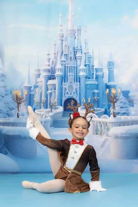 Miami International Dance Academy Picture 9