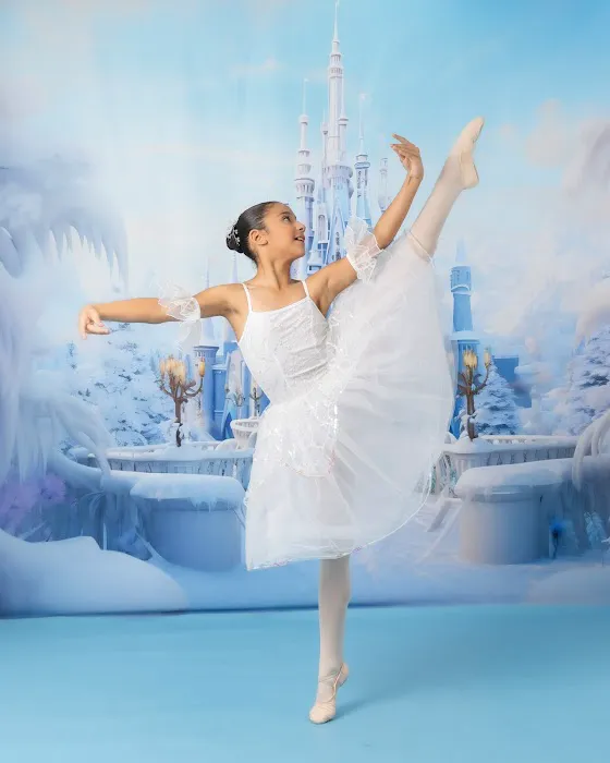 Miami International Dance Academy Picture 5