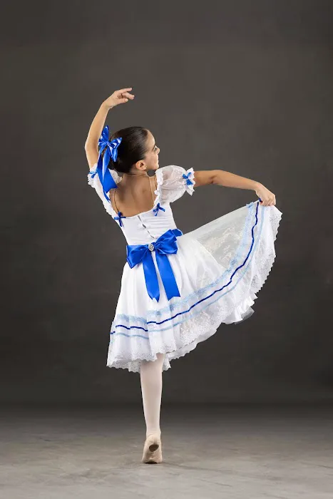 Miami International Dance Academy Picture 4