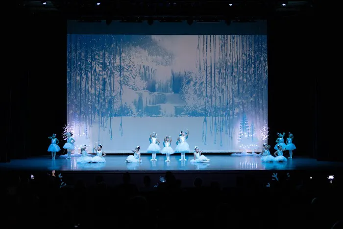 Miami International Dance Academy Picture 8