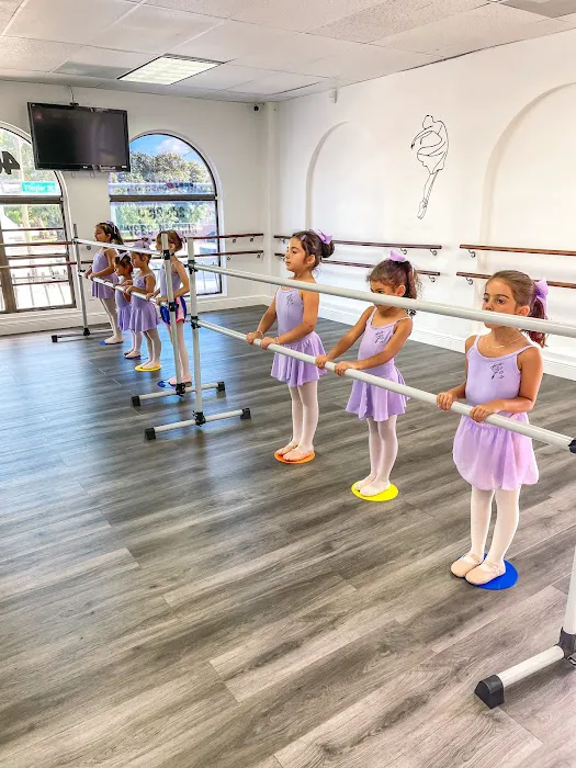 Miami International Dance Academy Picture 7