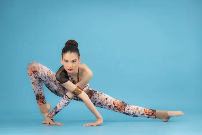 Miami International Dance Academy Picture 1