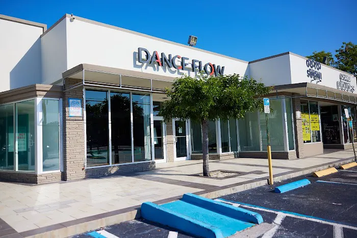 Dance Flow Miami Picture 4