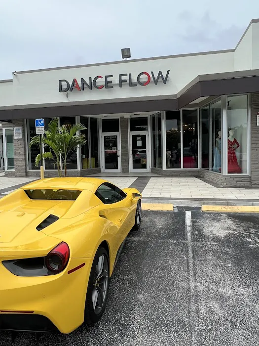 Dance Flow Miami Picture 9
