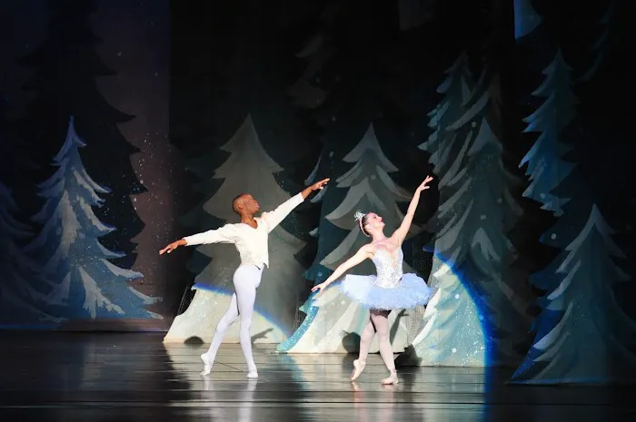 Armour Dance Theatre Picture 2