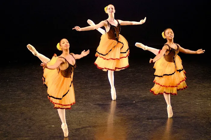 Armour Dance Theatre Picture 7