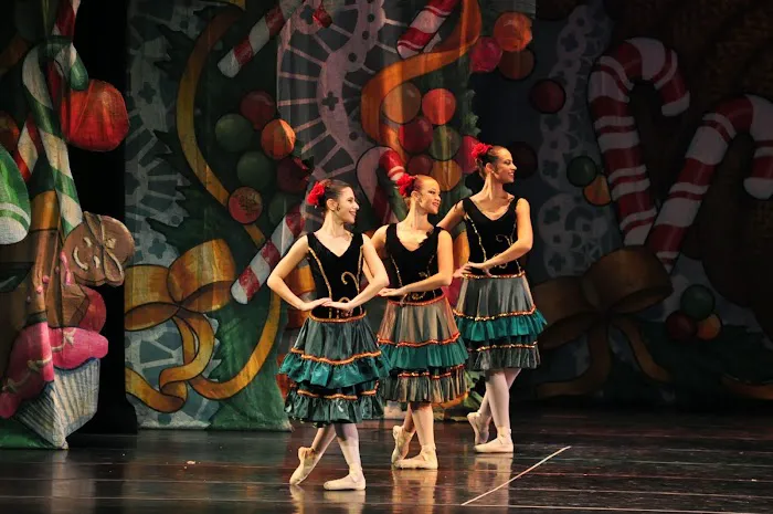 Armour Dance Theatre Picture 8