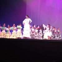 Furia Flamenca (Coral Gables) ico