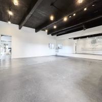 The Living Dolls Dance Factory ico