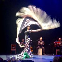 Clarita Filgueiras - Flamenco Puro, Inc. ico