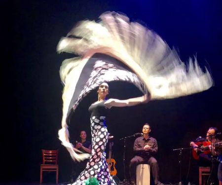 Clarita Filgueiras - Flamenco Puro, Inc.