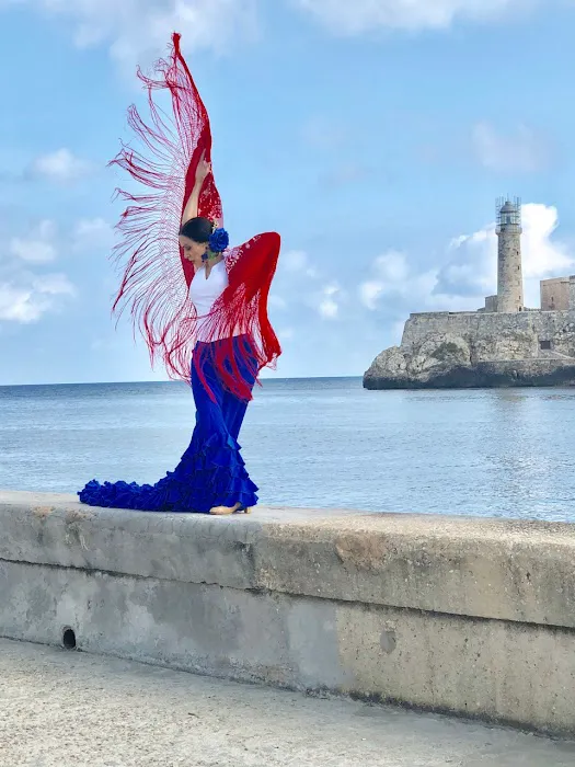 Clarita Filgueiras - Flamenco Puro, Inc. Picture 6