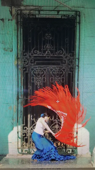 Clarita Filgueiras - Flamenco Puro, Inc. Picture 10