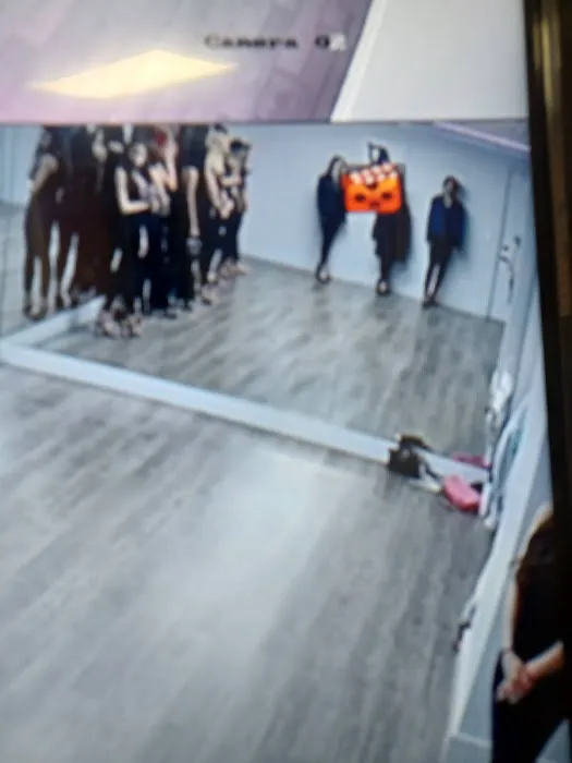 Artevivo Dance Studio Picture 1