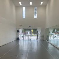 True Talent Dance Studio ico
