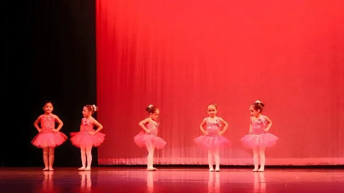 The Dream Dance Studio Picture 7
