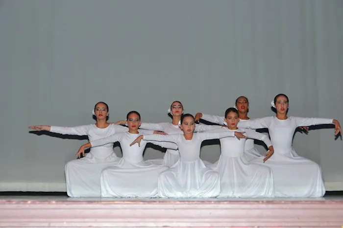 The Dream Dance Studio Picture 5