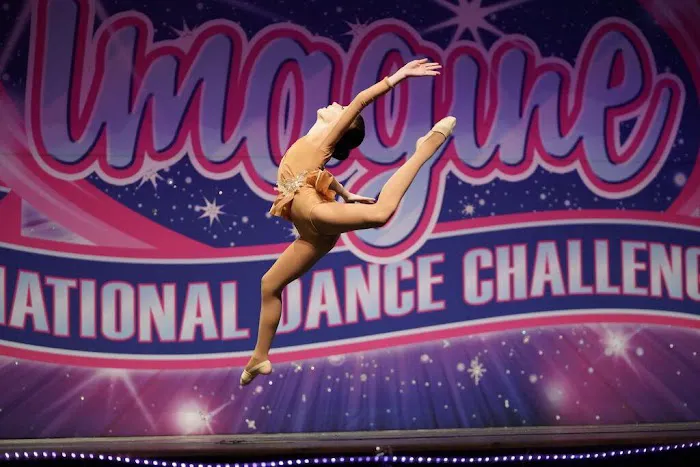 Iconic Dance & Training Center Picture 3