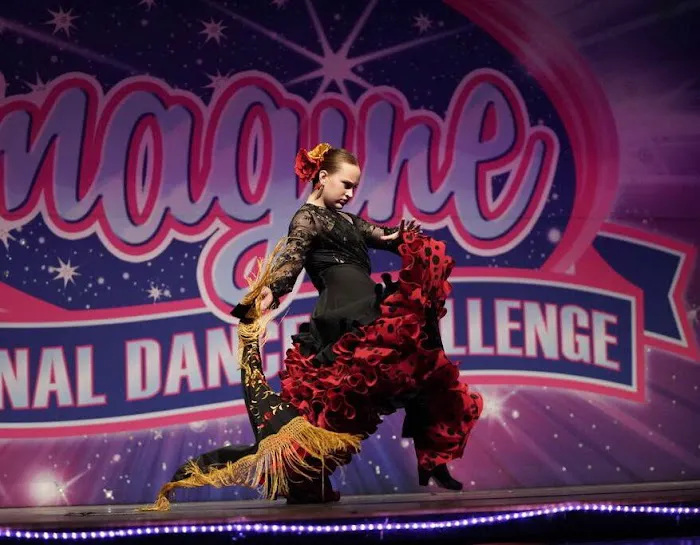 Iconic Dance & Training Center Picture 4