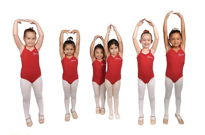 Iconic Dance & Training Center Picture 10
