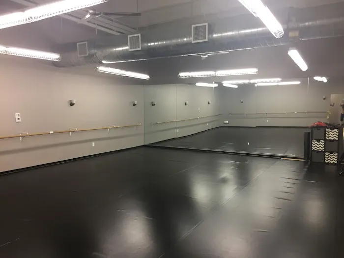 Miami Dance Collective Picture 1