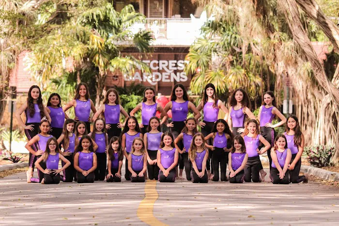 Pinecrest Dance Project Picture 3