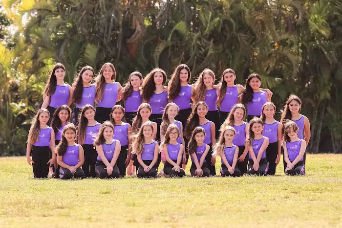 Pinecrest Dance Project Picture 8