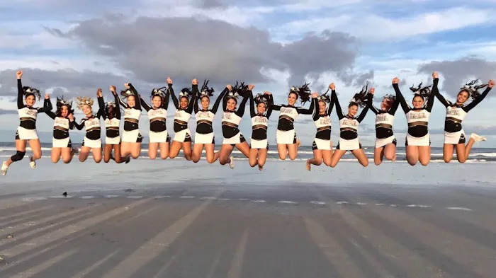 IDOL Cheer Picture 6