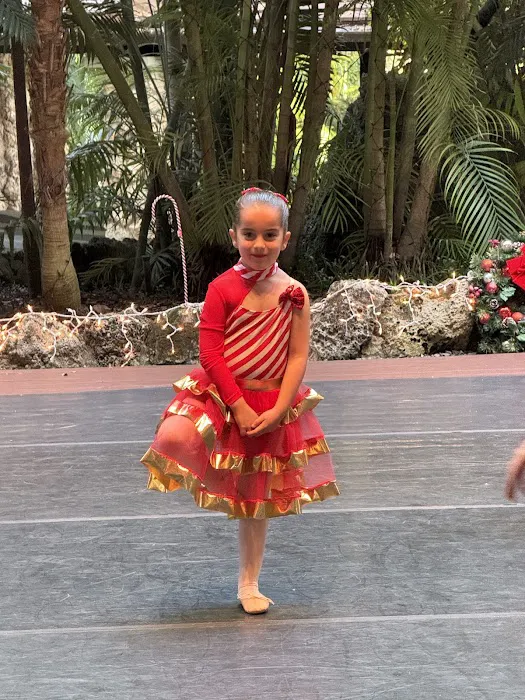 Dance Steps Miami Picture 7