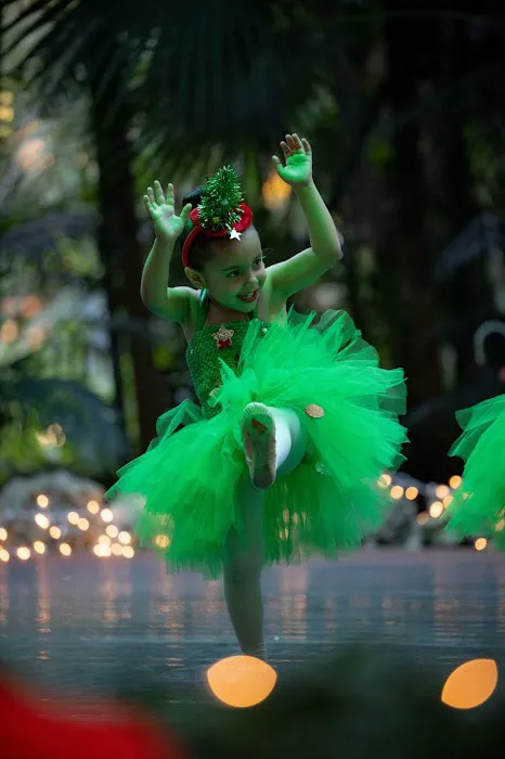 Dance Steps Miami Picture 5