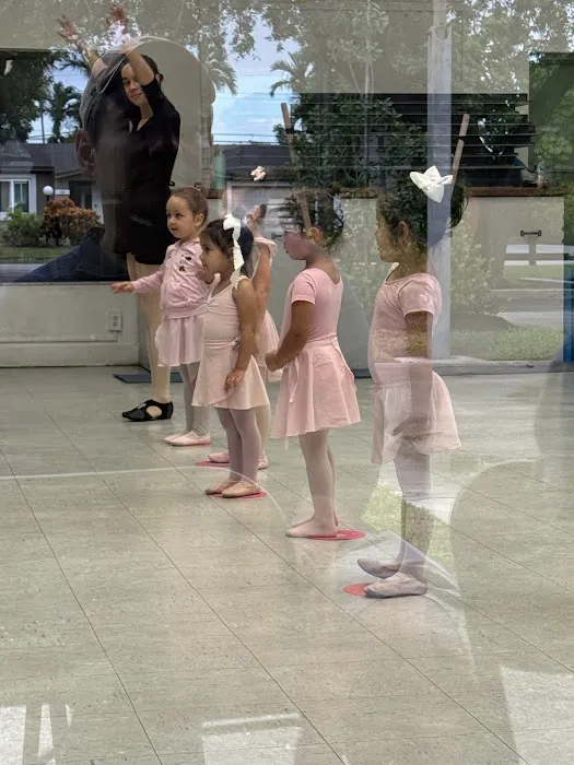Dance Steps Miami Picture 1