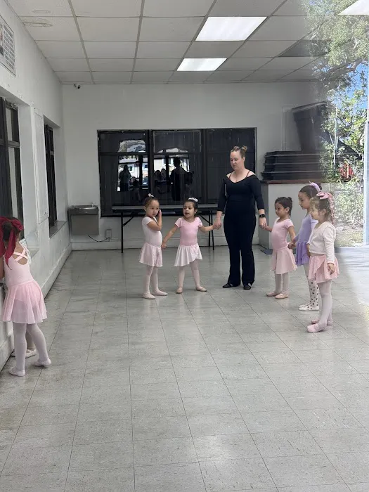 Dance Steps Miami Picture 8