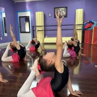 Maylin Art & Dance Academy ico
