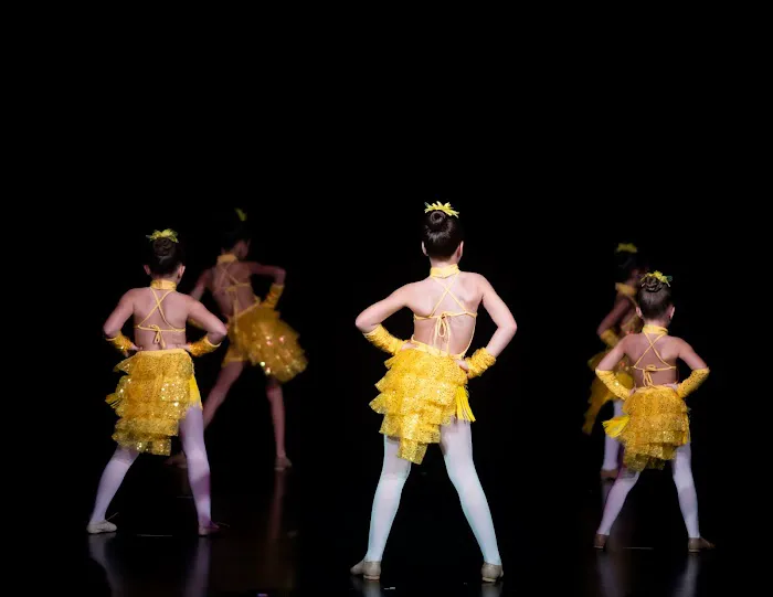 Maylin Art & Dance Academy Picture 2