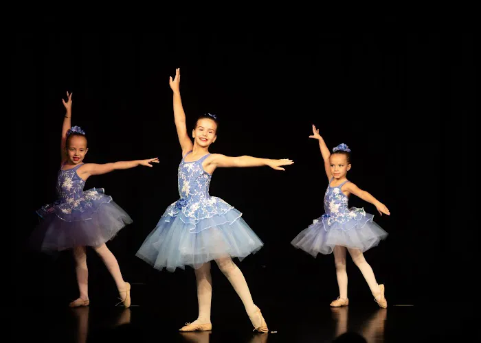 Maylin Art & Dance Academy Picture 4