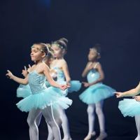 Worship Dance Academy ico