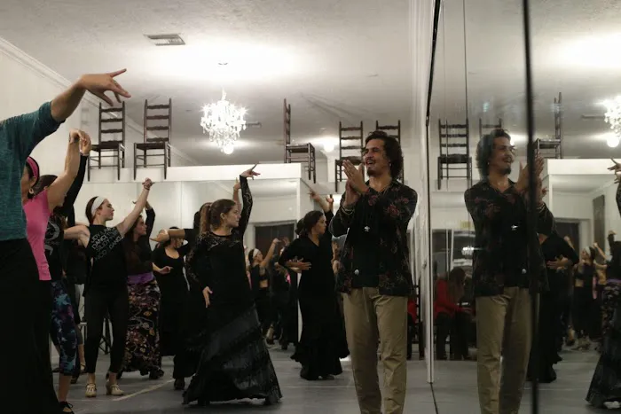 Siudy Flamenco Picture 10