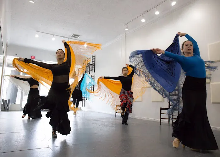 Siudy Flamenco Picture 4