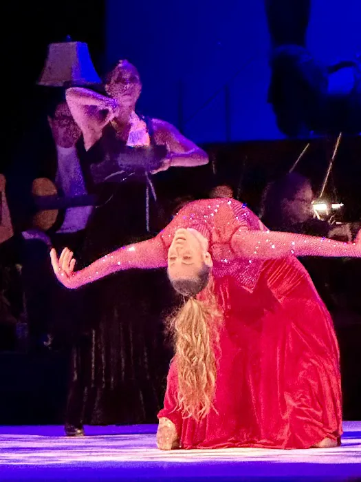 Siudy Flamenco Picture 1