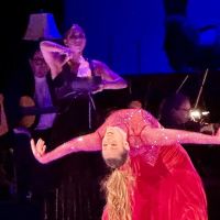 Siudy Flamenco ico