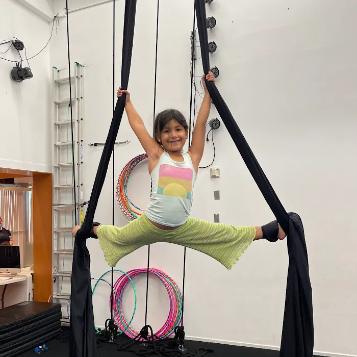 Cirque Art Studio Picture 10