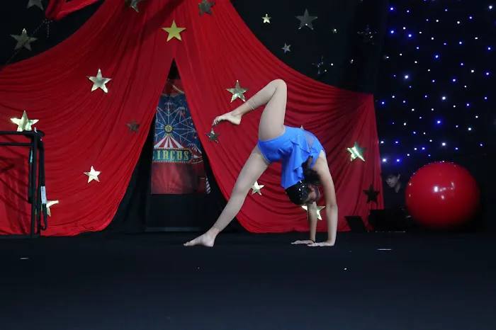 Cirque Art Studio Picture 1