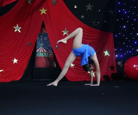Cirque Art Studio