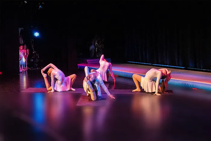 Cirque Art Studio Picture 7