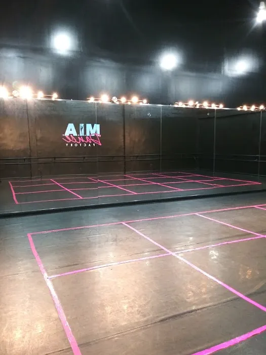 M.I.A. Dance Factory Picture 2