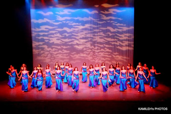 Mid East Performing Arts Academy Picture 5